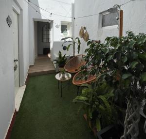 Zahrada ubytování Atelier Art & Suite