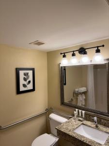 a bathroom with a toilet and a sink and a mirror at Country Inn & Suites by Radisson, Macedonia, OH in Macedonia