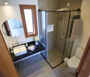 uma casa de banho com um chuveiro, um WC e um espelho. em Recanto dos Ipês 2 em Domingos Martins