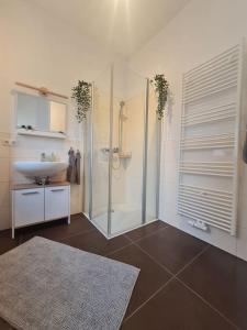 een badkamer met een douche, een wastafel en een toilet bij Ferienwohnung Sonneberg in Sonneberg