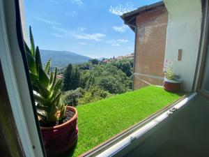 einen Blick vom Balkon mit Kaktus in der Unterkunft Apartment Alina in Cadegliano Viconago