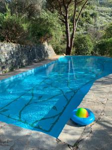 a blue swimming pool with a ball in it at VECCHIO MULINO FONTONA Ortensia in Chiesanuova