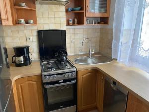 uma pequena cozinha com um fogão e um lavatório em Apartament przy Parku Czartoryskich II em Puławy
