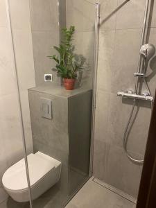 łazienka z prysznicem, toaletą i rośliną w obiekcie Apartament przy Parku Czartoryskich II w mieście Puławy