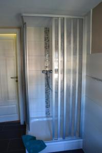 una ducha con puerta de cristal en un baño en Ferienwohnung Gänsemarkt, en Born