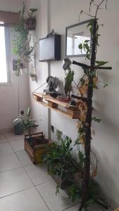 una habitación con un estante con plantas. en Apto do Thiago e da Chori, en Porto Alegre