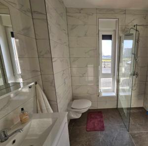 y baño con aseo, ducha y lavamanos. en Appartment Podravina, en Ðurđevac