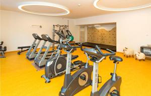 a row of exercise bikes in a gym with sheep in the background at Nice Apartment In Klsterle With 1 Bedrooms, Outdoor Swimming Pool And Heated Swimming Pool in Klösterle