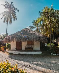 Cabaña pequeña con banco y palmeras en Praba Hostel, en Palomino