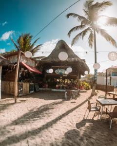 a restaurant on the beach with a palm tree at Praba Hostel in Palomino