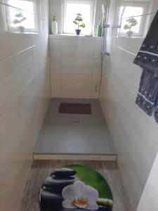 a small bathroom with a shower with a bottle on the floor at Enscher Stübchen Wohnung Katharina in Ensch