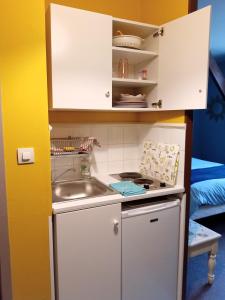 a small kitchen with a sink and a cabinet at Studio Mer Centre équestre in Mers-les-Bains