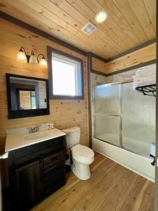 a bathroom with a toilet and a shower and a sink at 7 BEARS Stunning views in Sevierville