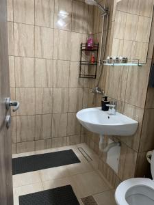 een badkamer met een wastafel en een toilet bij luxury central studio in Hunedoara