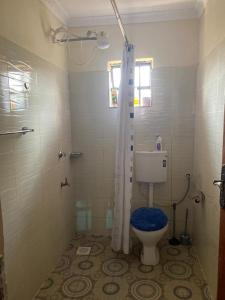 ein Bad mit einer Dusche, einem WC und einer Dusche in der Unterkunft Razy's in Kakamega