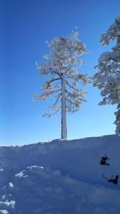 Apartman Popović - Vila Gorštak durante l'inverno