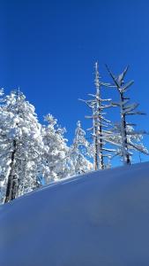 Apartman Popović - Vila Gorštak durante l'inverno