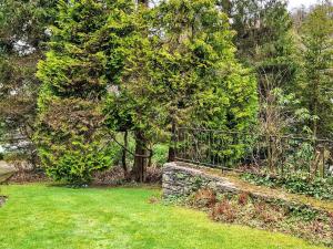 a garden with a stone wall and a tree at Old Belfield in Bowness-on-Windermere