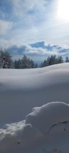 Paesaggio naturale nelle vicinanze dell'appartamento