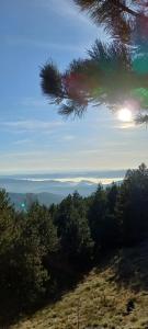 Paesaggio naturale nelle vicinanze dell'appartamento