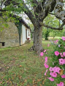 A garden outside Agriturismo Il Noce d'Oro