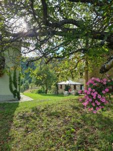 A garden outside Agriturismo Il Noce d'Oro