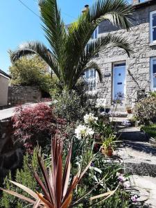 einen Garten mit einer Palme vor einem Gebäude in der Unterkunft Corvus - Beautiful cottage half a mile from Mousehole in Penzance