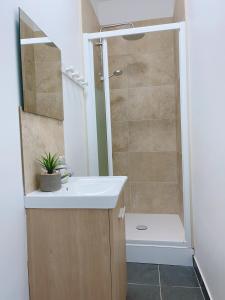 een badkamer met een wastafel en een douche bij Le MonMon grand T2 hyper centre ville in Fontenay-le-Comte