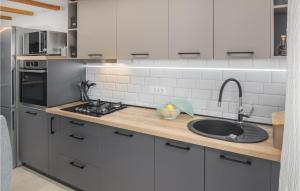 a kitchen with a sink and a stove at Stunning Apartment In Vabriga With Wifi in Vabriga