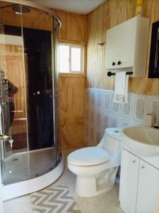 a bathroom with a toilet and a shower and a sink at cabañas aulen chepu chiloe in Ancud
