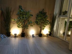 a group of potted plants in a room with lights at Lujoso y acogedor apartamento "súper céntrico" en ELche in Elche