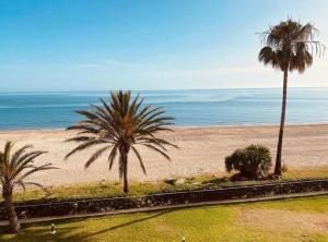 Blick auf einen Strand mit Palmen und das Meer in der Unterkunft Urbanización Marenia - Las Marinas, Denia in Denia