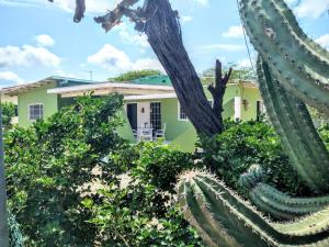 een huis met een cactus ervoor bij Traditional Aruban Home close to Surfside Beach in Oranjestad