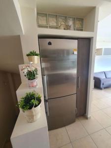 eine Küche mit einem Kühlschrank aus Edelstahl und Topfpflanzen in der Unterkunft Agria Lux Apartment in Agria