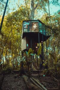 una casa en el árbol en medio del bosque en Amanatu Ecolodge & Spa en Quimbaya