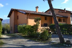 a house with a palm tree in front of it at Agriturismo La Querce in Rignano sullʼArno