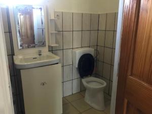 a small bathroom with a toilet and a sink at Unu Pikin Guesthouse in Paramaribo