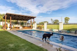 a woman and a dog standing in a swimming pool at Charm Lodge in Lake Charm