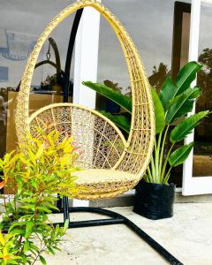 Foto dalla galleria di Canna Boutique Hostel a Panglao