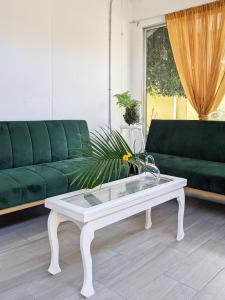 a living room with a green couch and a coffee table at Guesthouse Congo Tempisque in Liberia