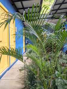 un groupe de plantes devant un bâtiment dans l'établissement Guesthouse Congo Tempisque, à Liberia