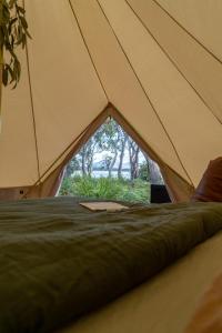 Zelt mit Fenster und Blick auf ein Feld in der Unterkunft Numie - Freycinet Peninsula - Glamping in Coles Bay