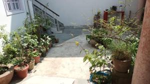 a courtyard with potted plants and a stair case at TEMPLE TOWN HOMES assi ghat Varanasi in Varanasi