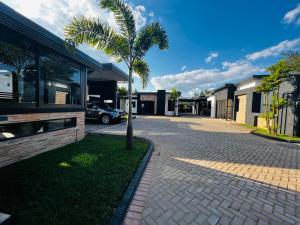 a palm tree in front of a house with a driveway at Pisano Luxury Apartments in Lusaka