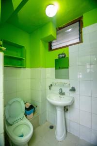 a green bathroom with a toilet and a sink at Hotel Pomelo House in Kathmandu