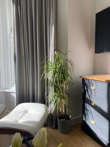 a living room with two plants in front of a window at Salt Life Contemporary Apartment in Brighton & Hove