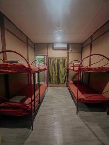 um quarto com 2 beliches num quarto em Liana Hostel Taman Negara em Jerantut