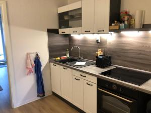 Virtuvė arba virtuvėlė apgyvendinimo įstaigoje Treibholz