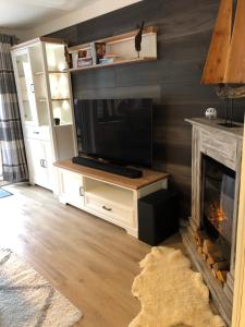 a living room with a television and a fireplace at Treibholz in Wustrow
