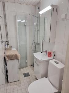 a bathroom with a toilet and a shower and a sink at Studio Porin Otso, home away home in Pori city center in Pori